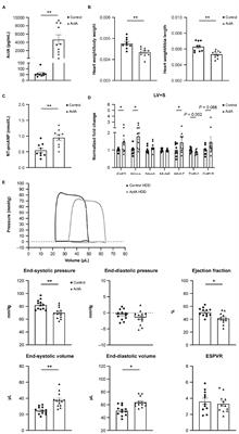 Activin A directly impairs human cardiomyocyte contractile function indicating a potential role in heart failure development